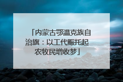 内蒙古鄂温克族自治旗：以工代赈托起农牧民增收梦