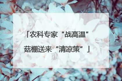 农科专家“战高温” 菇棚送来“清凉策”