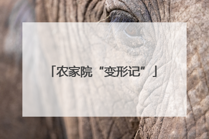 农家院“变形记”