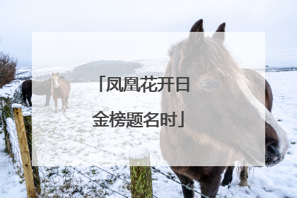凤凰花开日 金榜题名时