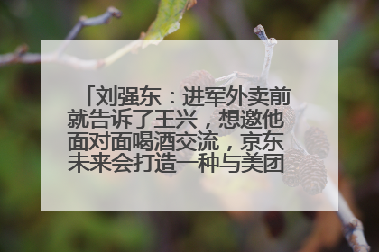 刘强东：进军外卖前就告诉了王兴，想邀他面对面喝酒交流，京东未来会打造一种与美团不同的商业模式