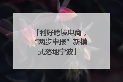 利好跨境电商，“两步申报”新模式落地宁波