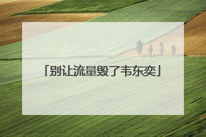 别让流量毁了韦东奕