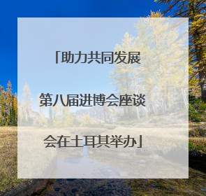 助力共同发展 第八届进博会座谈会在土耳其举办