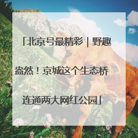 北京号最精彩｜野趣盎然！京城这个生态桥连通两大网红公园
