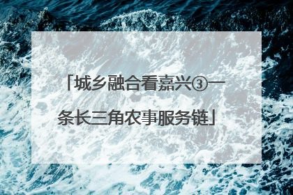 城乡融合看嘉兴③一条长三角农事服务链