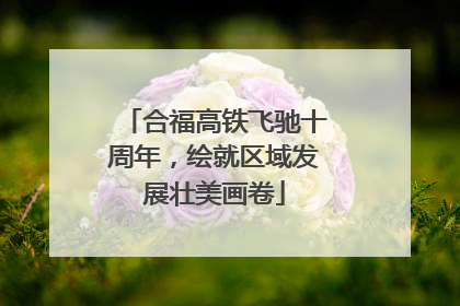 合福高铁飞驰十周年，绘就区域发展壮美画卷
