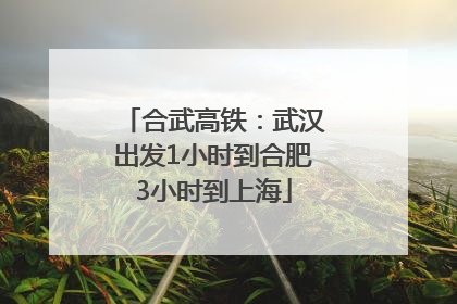 合武高铁：武汉出发1小时到合肥3小时到上海