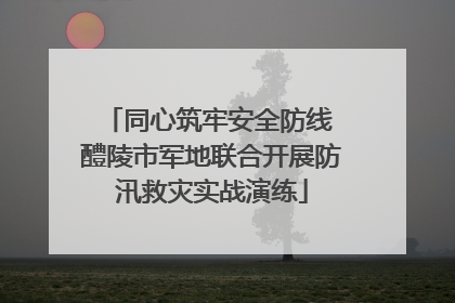 同心筑牢安全防线 醴陵市军地联合开展防汛救灾实战演练