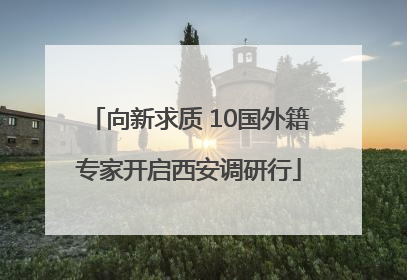 向新求质 10国外籍专家开启西安调研行
