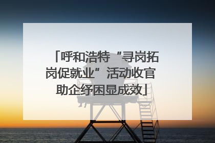 呼和浩特“寻岗拓岗促就业”活动收官 助企纾困显成效