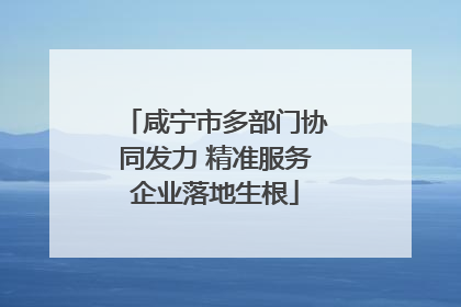 咸宁市多部门协同发力 精准服务企业落地生根