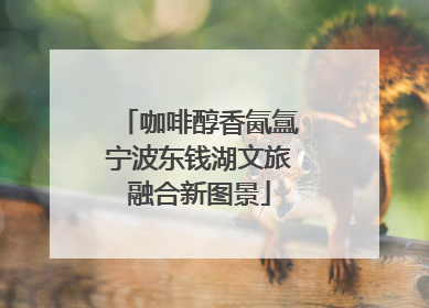 咖啡醇香氤氲宁波东钱湖文旅融合新图景