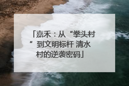 嘉禾：从“拳头村”到文明标杆 清水村的逆袭密码