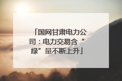 国网甘肃电力公司：电力交易含“绿”量不断上升