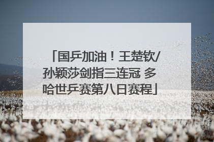 国乒加油！王楚钦/孙颖莎剑指三连冠 多哈世乒赛第八日赛程