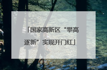 国家高新区“攀高逐新”实现开门红