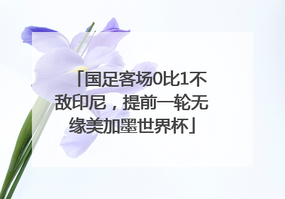 国足客场0比1不敌印尼，提前一轮无缘美加墨世界杯