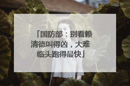 国防部：别看赖清德叫得凶，大难临头跑得最快