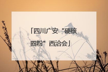 四川广安“硬核圈粉”西洽会