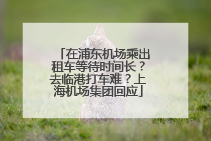 在浦东机场乘出租车等待时间长？去临港打车难？上海机场集团回应
