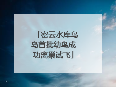 密云水库鸟岛首批幼鸟成功离巢试飞