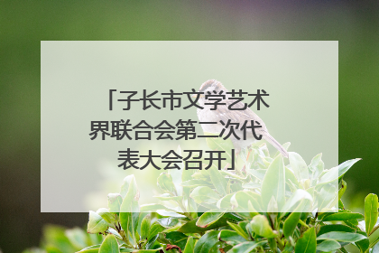 子长市文学艺术界联合会第二次代表大会召开
