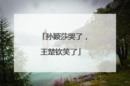 孙颖莎哭了，王楚钦笑了