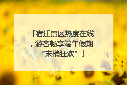 宿迁景区热度在线，游客畅享端午假期“末梢狂欢”