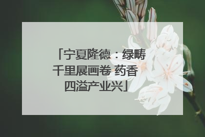 宁夏隆德：绿畴千里展画卷 药香四溢产业兴