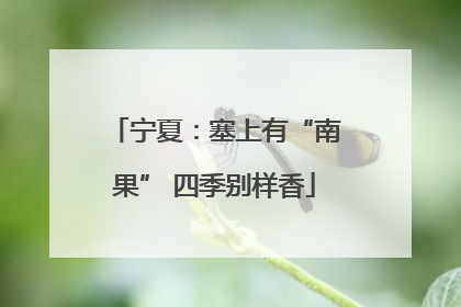 宁夏：塞上有“南果” 四季别样香