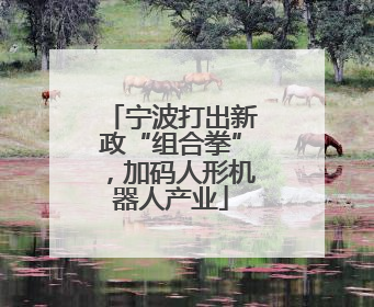 宁波打出新政“组合拳”，加码人形机器人产业