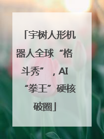 宇树人形机器人全球“格斗秀”，AI“拳王”硬核破圈