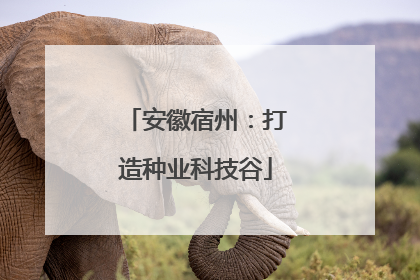 安徽宿州：打造种业科技谷