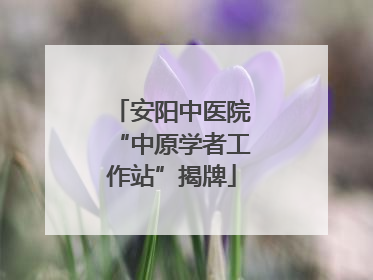 安阳中医院“中原学者工作站”揭牌