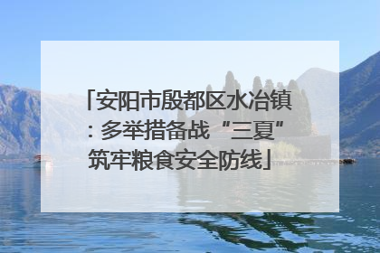 安阳市殷都区水冶镇：多举措备战“三夏” 筑牢粮食安全防线