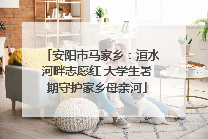 安阳市马家乡：洹水河畔志愿红 大学生暑期守护家乡母亲河