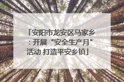 安阳市龙安区马家乡：开展“安全生产月”活动 打造平安乡镇