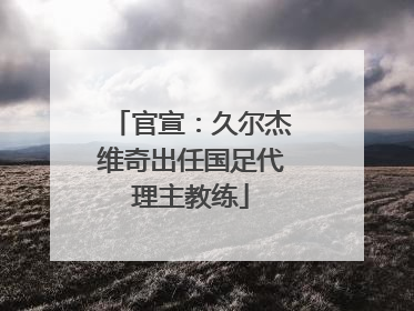 官宣：久尔杰维奇出任国足代理主教练