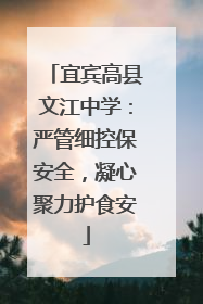 宜宾高县文江中学：严管细控保安全，凝心聚力护食安