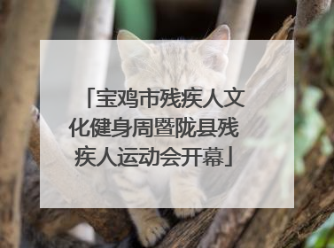 宝鸡市残疾人文化健身周暨陇县残疾人运动会开幕