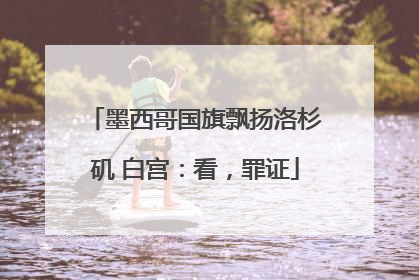 墨西哥国旗飘扬洛杉矶 白宫：看，罪证