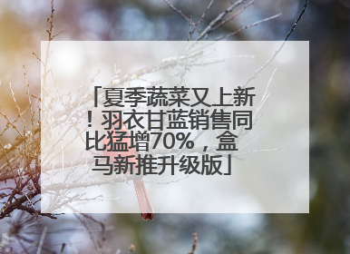 夏季蔬菜又上新！羽衣甘蓝销售同比猛增70%，盒马新推升级版