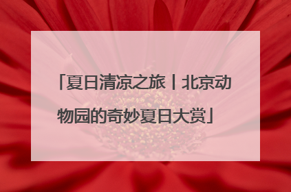 夏日清凉之旅丨北京动物园的奇妙夏日大赏