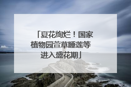 夏花绚烂！国家植物园萱草睡莲等进入盛花期