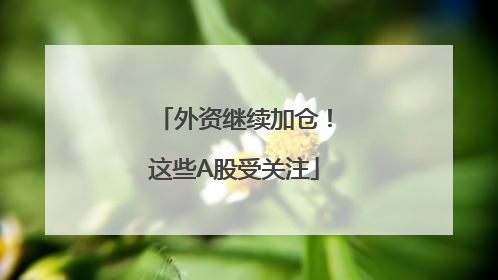 外资继续加仓！这些A股受关注