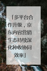 多平台合作升级，京东内容营销生态持续深化种收协同效率