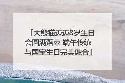 大熊猫迈迈8岁生日会圆满落幕 端午传统与国宝生日完美融合