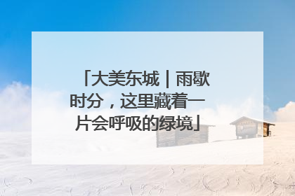 大美东城｜雨歇时分，这里藏着一片会呼吸的绿境