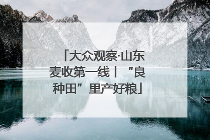大众观察·山东麦收第一线丨“良种田”里产好粮